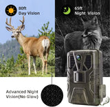 Caméra de Chasse Nocturne